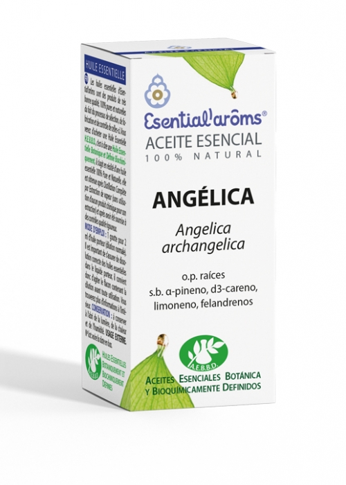 ANGELICA ESSENTIAL OIL 5 ML
